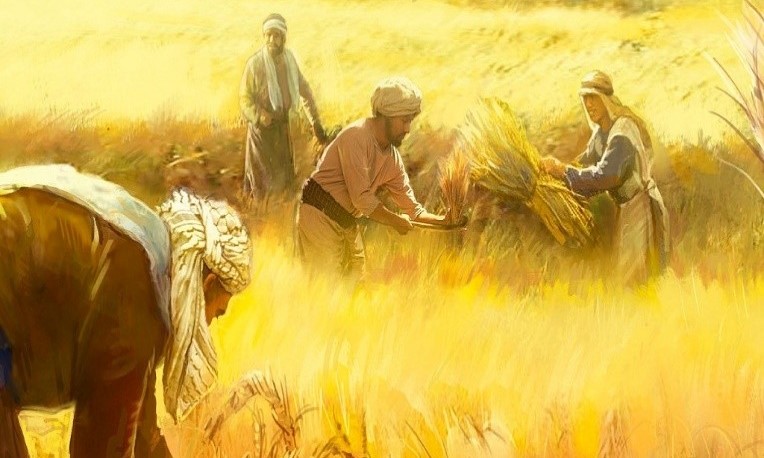 Bài Giảng Vô Ngôn – Về Một Đời Sống Thánh Hiến Giữa Lòng Đời